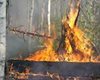 Ситуация с пожарами может осложниться на Алтае